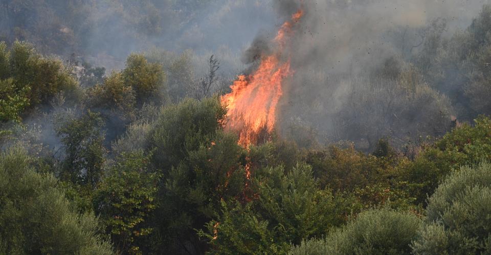 Μάχη με τις φλόγες δίνουν οι πυροσβεστικές δυνάμεις σε Βοιωτία και Αττική