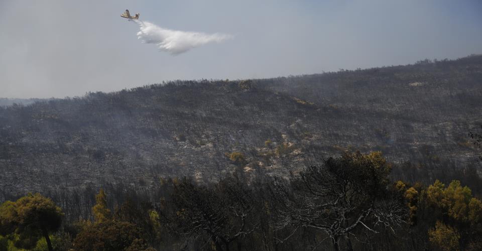 Τέσσερις συλλήψεις για εμπρησμούς στην Ελλάδα, 30 αγροτοδασικές πυρκαγιές το...