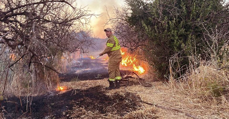 Χωρίς ενεργό μέτωπο η πυρκαγιά στη Χαλκιδική, σε ετοιμότητα η Πυροσβεστική για...