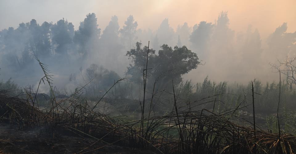 Συνεχίζεται η μάχη με τις φλόγες στη Σίβηρη της Χαλκιδικής, φόβοι για επέκταση...