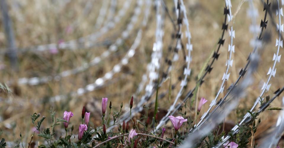 الرئيس خريستوذوليذيس: سيفغول أولوداغ كرّست جهودها للتعايش بين القبارصة