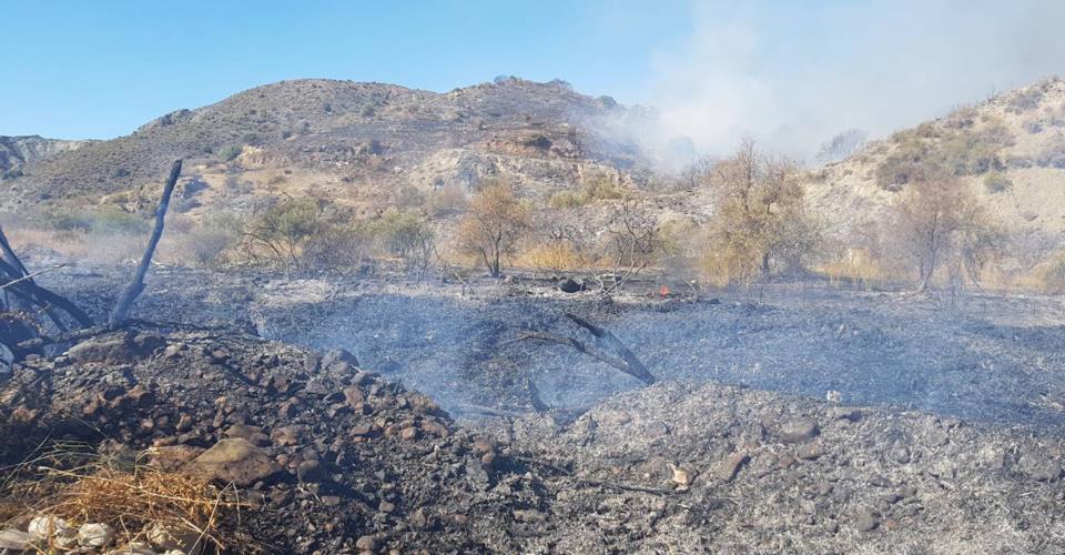 Σύσκεψη την Τρίτη για πυρκαγιές λόγω υψηλών θερμοκρασιών και καύσωνα λέει στο...