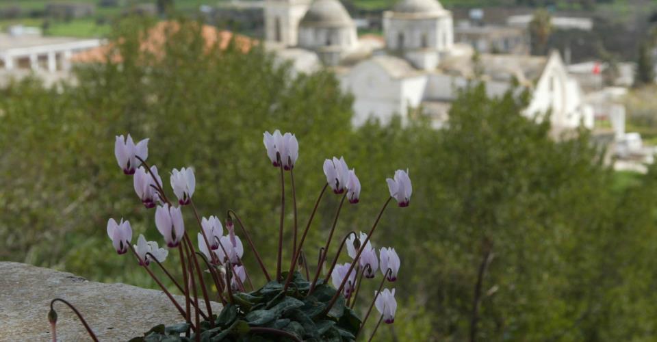 المفوض الرئاسي يجري زيارة للمحاصرين في قرى كارباسيا