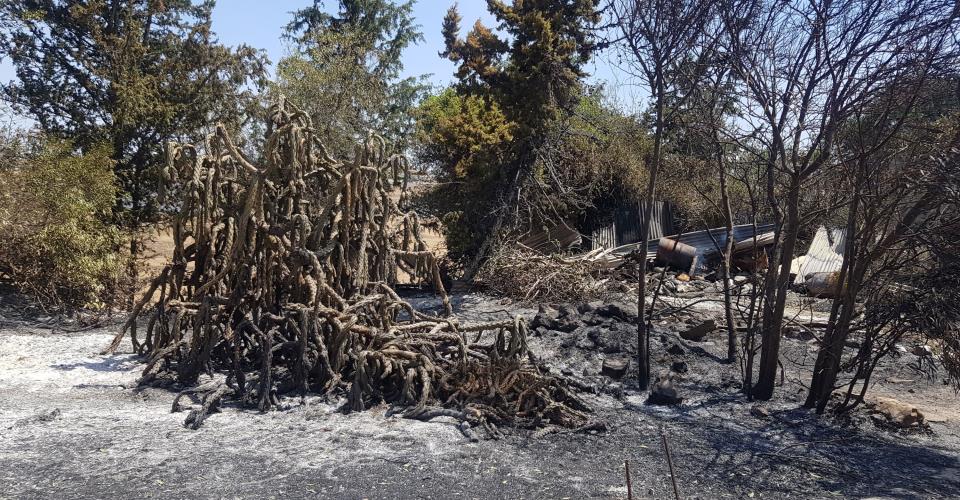 Υπ. Γεωργίας: Άμεση και πλήρης αποζημίωση αγροτών που επηρεάστηκαν από πυρκαγιές