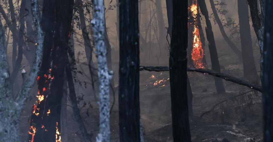Μεγάλη πυρκαγιά στην Καλιφόρνια ανάγκασε χιλιάδες να απομακρυνθούν από τα...