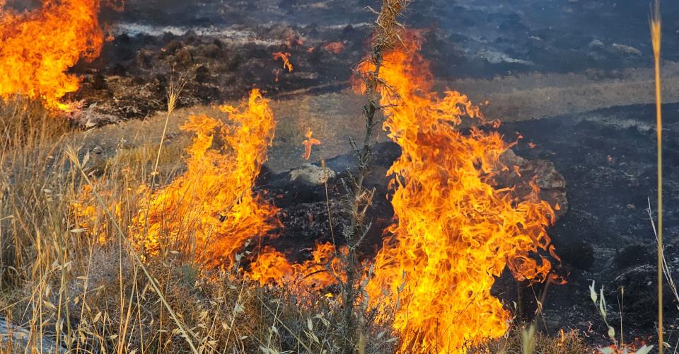 Πυρκαγιές στην περιοχή κατεχόμενου Γερόλακκου, στο Μένοικο και Εργάτες