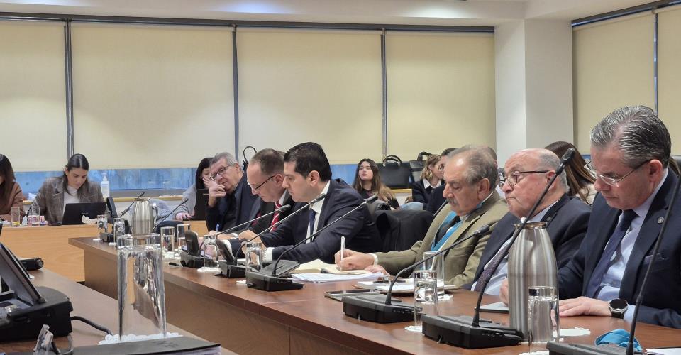 Η Κυβέρνηση προσπαθεί να βρει τρόπο για συνέχιση έργου στο Βασιλικό, λέει ο...