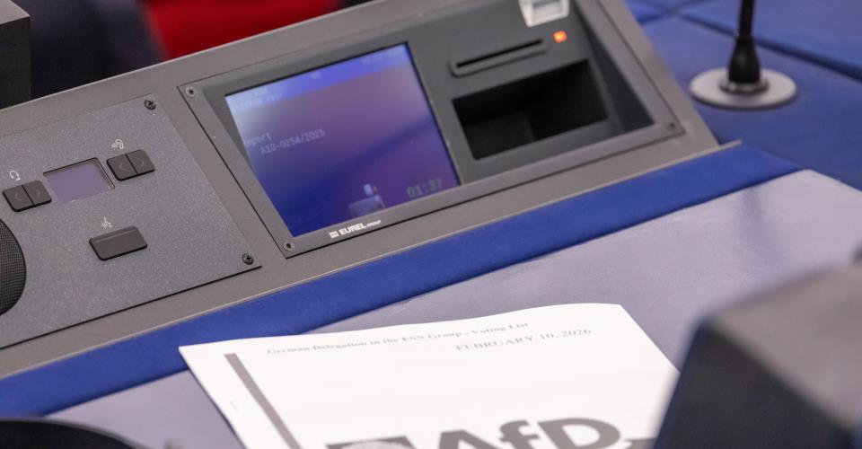 Αντιδράσεις στη Γερμανία για την επίσκεψη στελεχών του AfD στη Ρωσία